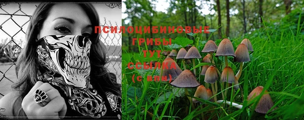 стаф Абинск