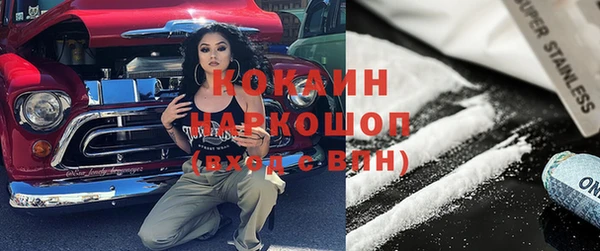 стаф Абинск