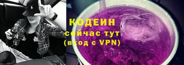 шишки Переславль-Залесский