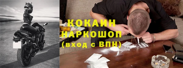 винт Пересвет