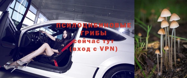 винт Пересвет