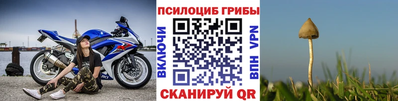 закладки  Кадников  darknet состав  Псилоцибиновые грибы прущие грибы 